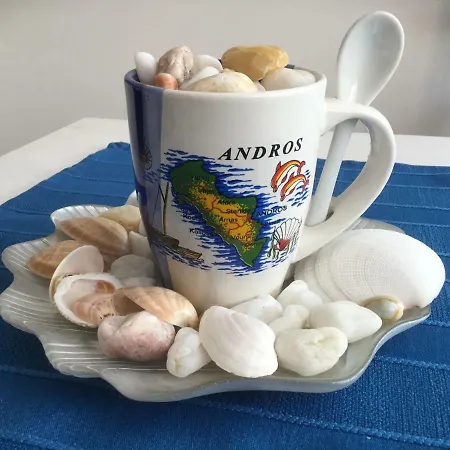 Andros Free Parking & Bicycle Apartamento